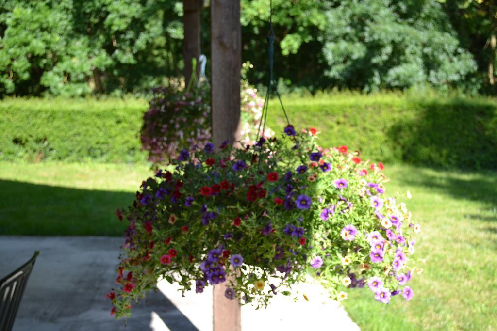 Le Moulin De Lusseau Bed & Breakfast Chef-Boutonne Dış mekan fotoğraf
