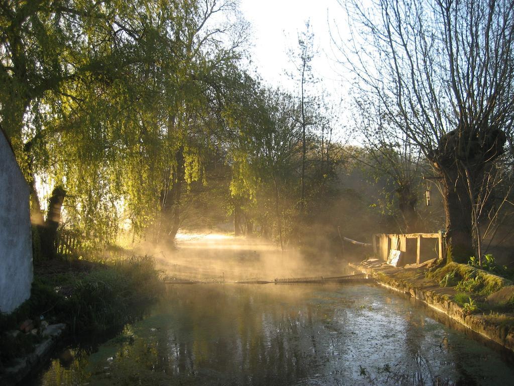 Le Moulin De Lusseau Bed & Breakfast Chef-Boutonne Dış mekan fotoğraf