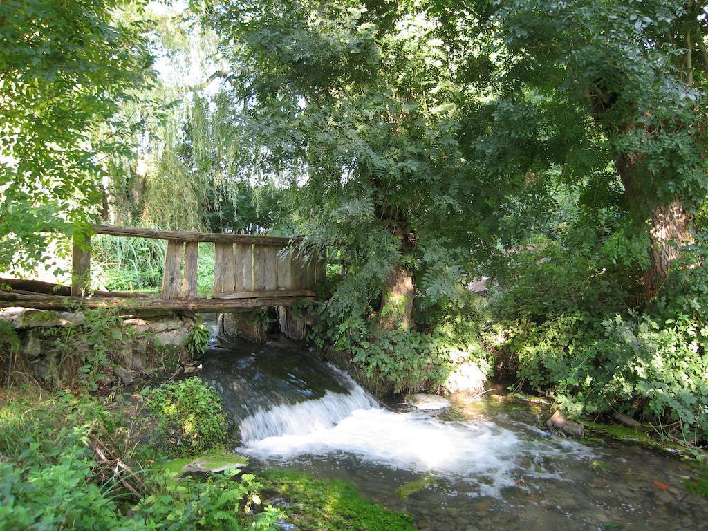 Le Moulin De Lusseau Bed & Breakfast Chef-Boutonne Dış mekan fotoğraf